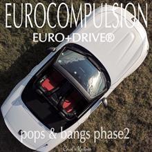 EURO+DRIVE®(pops & bangs phase2)のメリットとこのキットをオススメするオーナーの特徴 EURO+DRIVE®(pops & bangs phase2)のメリットとこのキットをオススメするオーナーの特徴