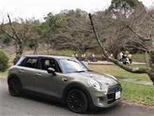 MINI修理の代車はF55 MINI修理の代車はF55