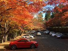 紅葉を観に! 紅葉を観に!