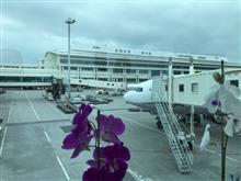 会社でも個人でも、初めての沖縄( ^ω^ ) 会社でも個人でも、初めての沖縄( ^ω^ )