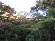 東福寺・伏見稲荷大社(京都旅行) 東福寺・伏見稲荷大社(京都旅行)
