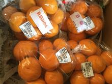 みかん祭り