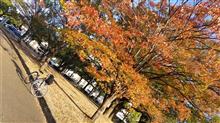 紅葉サイクリング
