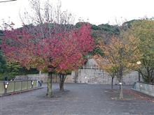近所の公園、お散歩
