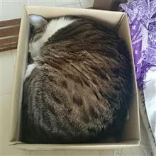 20181110三保焼肉オフ!? 20181110三保焼肉オフ!?