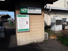 最終目標は『目指せ!-33kg』(916回目) 最終目標は『目指せ!-33kg』(916回目)