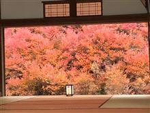 4週連続で 4週連続で