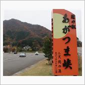 伊香保紅葉一泊ドライブ（一日 ...