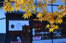 紅葉も見納め？角館武家屋敷高揚