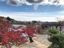 紅葉狩りへ  紅葉谷公園 (山口県岩国市)