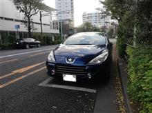 モーニングクルーズでフェラーリを見学して来ました。
