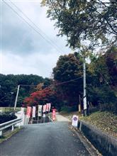 紅葉を求めて 紅葉を求めて