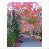 紅葉ツーリング