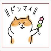 あなたの知らない世界😉サン ...