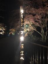 岩屋堂ライトアップ