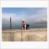どんよりな天気