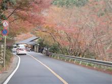 ダブルキャブのお迎えに