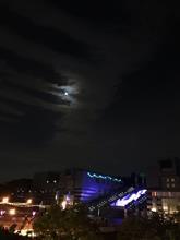 今年もこの季節がやって来ました(*^^*)v