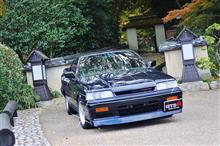 有馬の紅葉 &#215; Ｒ３１スカイラインＧＴＳ－Ｒ