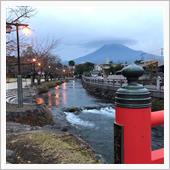 いい夫婦の日のお土産って😅