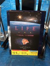 LIFE いのち