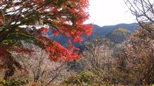 長瀞・城峯・桜山公園紅葉ドライブpart2