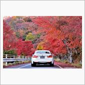 紅葉ドライブFINAL～丹沢 ...