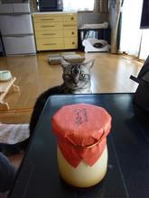 見つかった(^_^;)
