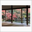 京都紅葉観光２０１８（前編）