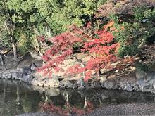 紅葉狩り♪🍁