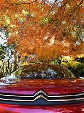 C3で紅葉の公園へ C3で紅葉の公園へ
