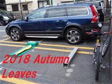 ひとりごと・・・・Autumn leaves ひとりごと・・・・Autumn leaves