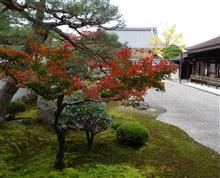 紅葉狩りに行きました！　～南禅寺 (2) ～