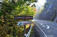 志駒渓谷の紅葉を見ながら 志駒渓谷の紅葉を見ながら