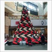 今年のＸ&#39;masツリー