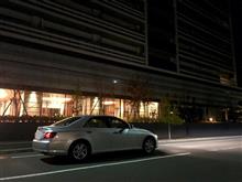 チャンスはやはり早朝も・・・ チャンスはやはり早朝も・・・