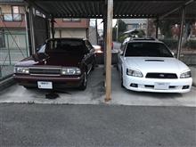 ワインレッドのセドリック(&#180;・ω・`)
