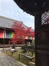 米寿㊗️京都日帰り弾丸ツアー【智積院編】