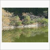 国境の島　対馬で歴史と神社を ...