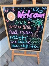 みかん狩りと、猫ちゃんに会いに行って来ました。