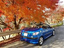 奥三河紅葉ドライブと足助の山奥の喫茶店にて牛丼とうどんを愉しむ 奥三河紅葉ドライブと足助の山奥の喫茶店にて牛丼とうどんを愉しむ