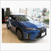 UXに試乗し、車庫入れをした