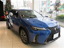 UXに試乗し、車庫入れをした