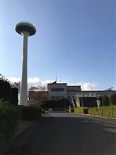 もらってきたー♪ もらってきたー♪