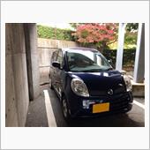 本格的な冬が来る前に
