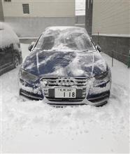 本格的に冬が到来です。