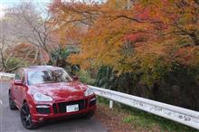 2018年もみじロード ～ 紅葉よりも猿！