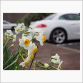 Z4で行く 房総半島ドライブ ...