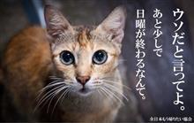 12月9日(日)