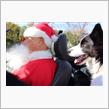 Driving home for Christmas
